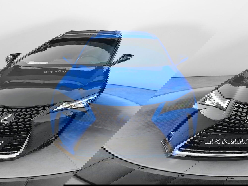Lexus UX usata a Bologna (2)