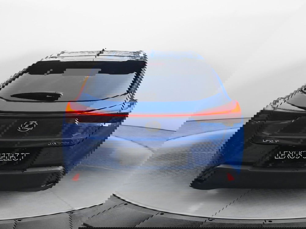 Lexus UX usata a Bologna (5)