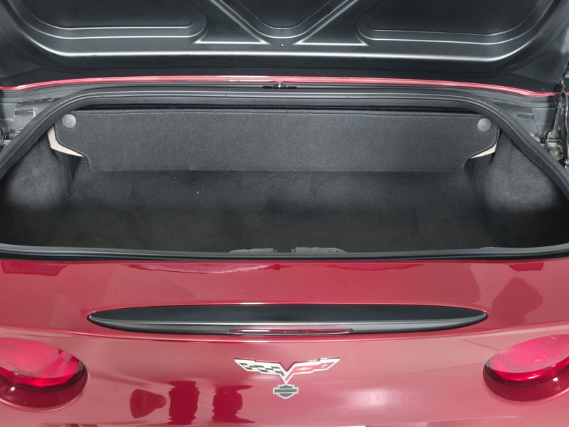 Chevrolet Corvette Stingray usata a Torino (13)