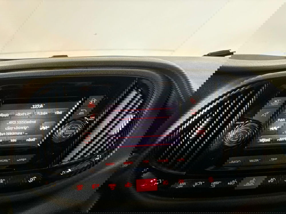 Fiat Doblò Furgone usata a Monza e Brianza (19)