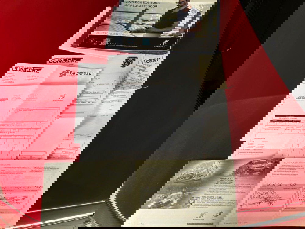 Peugeot 3008 usata a Cuneo (13)