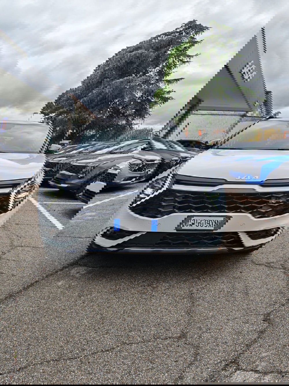 Kia Sportage usata a Rimini (2)