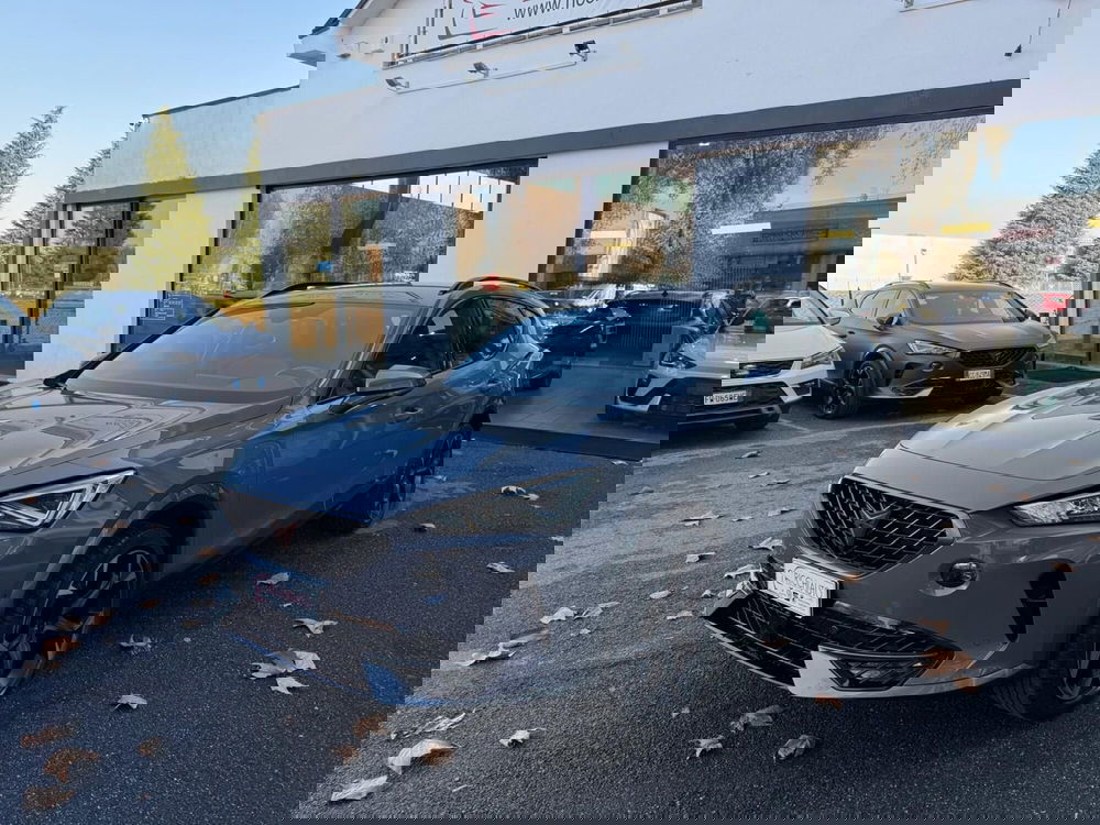 Cupra Formentor usata a Monza e Brianza (2)