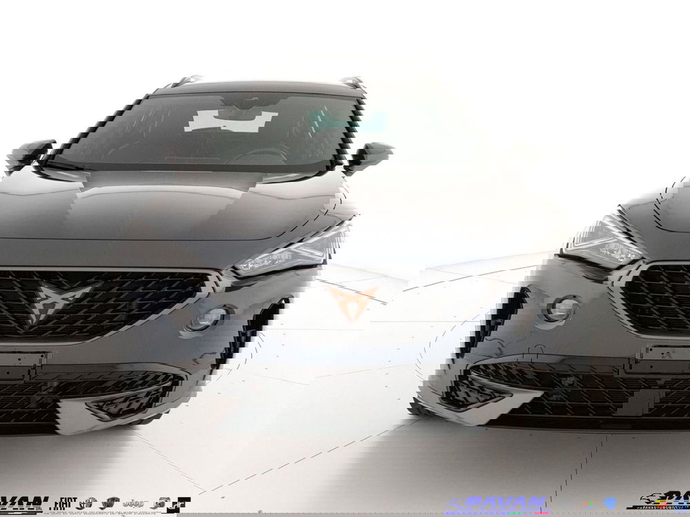 Cupra Formentor usata a Padova (2)