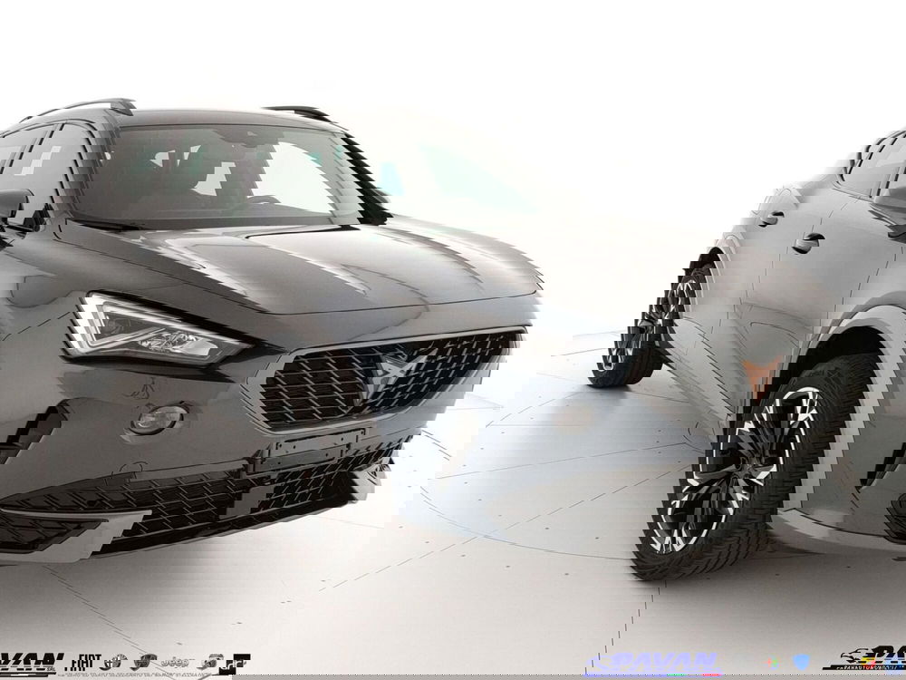 Cupra Formentor usata a Padova (3)