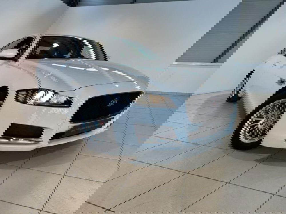 Jaguar XF usata a Venezia