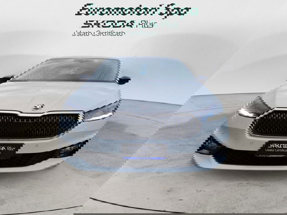 Skoda Fabia usata a Siena (8)