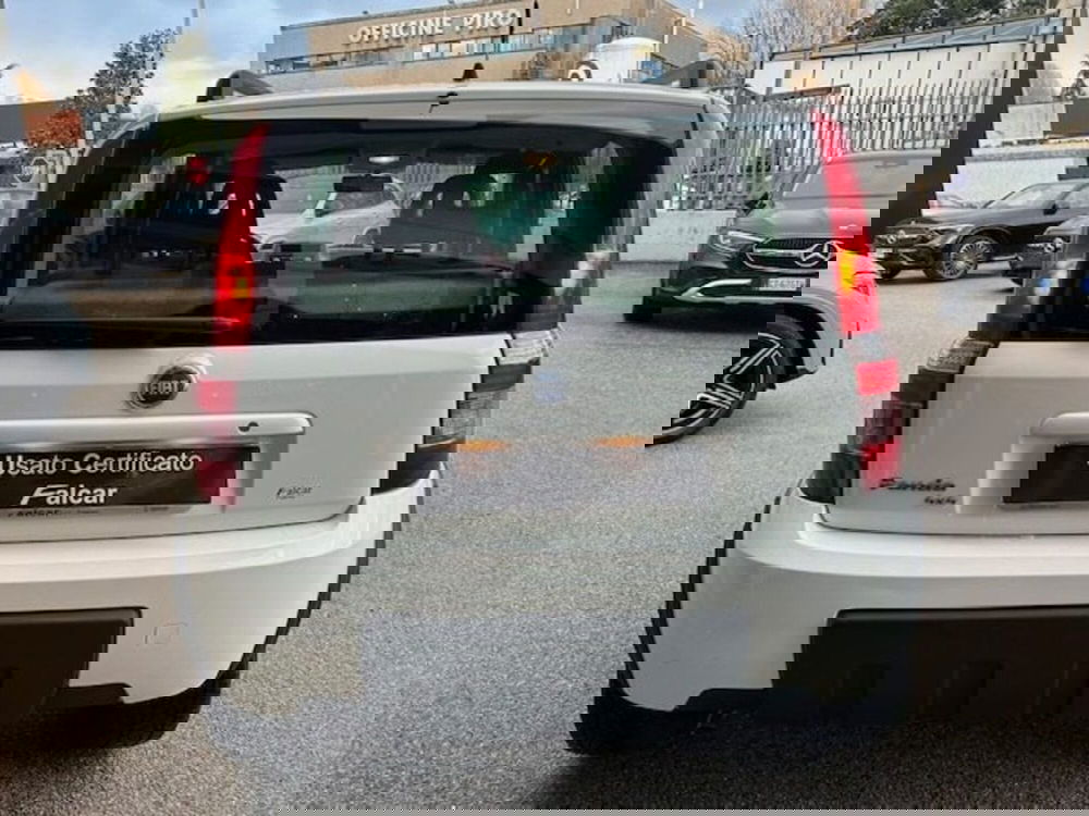 Fiat Panda usata a Potenza (4)