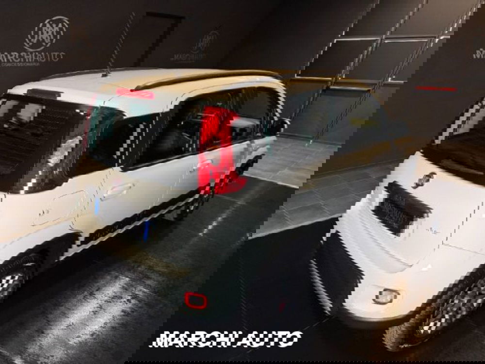 Fiat Panda usata a Perugia (5)