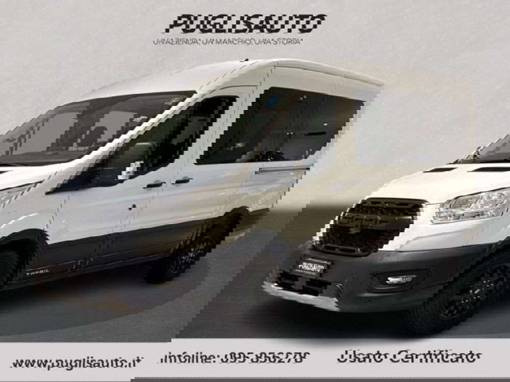 Ford Transit Furgone usata a Catania (3)