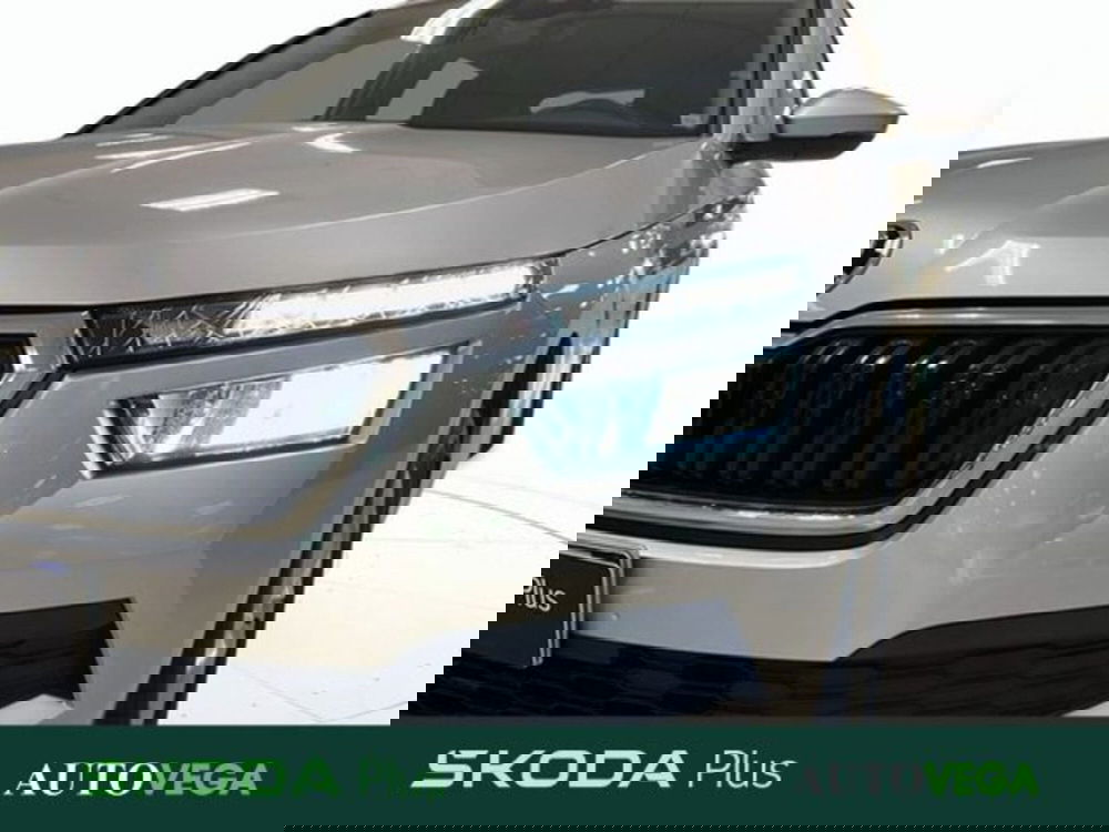 Skoda Kamiq usata a Vicenza (20)