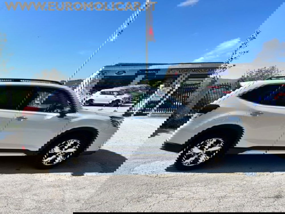 Subaru Forester usata a Campobasso (8)