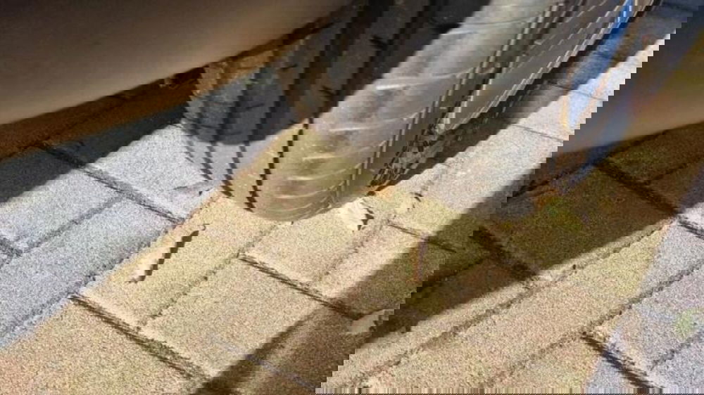 Citroen Berlingo usata a Savona (16)