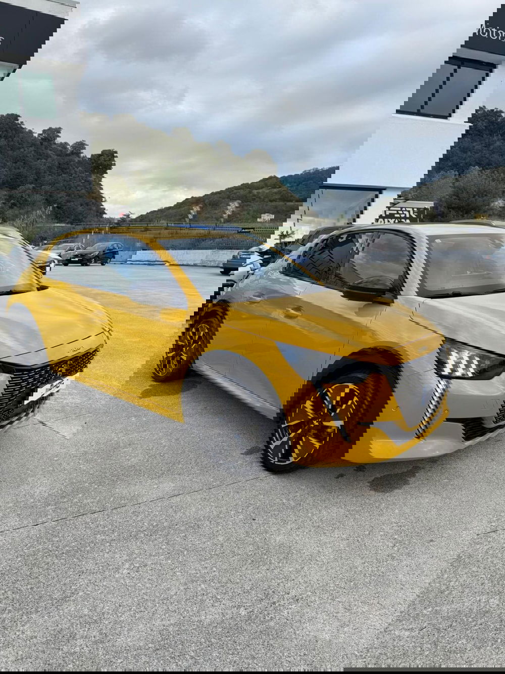 Peugeot 208 usata a Cosenza (3)