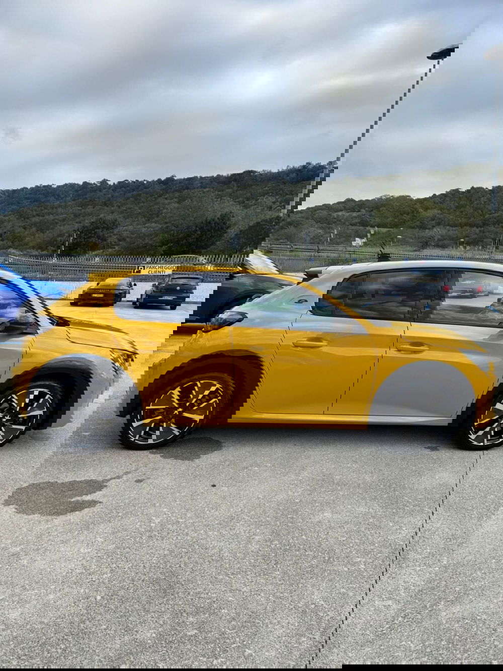 Peugeot 208 usata a Cosenza (4)