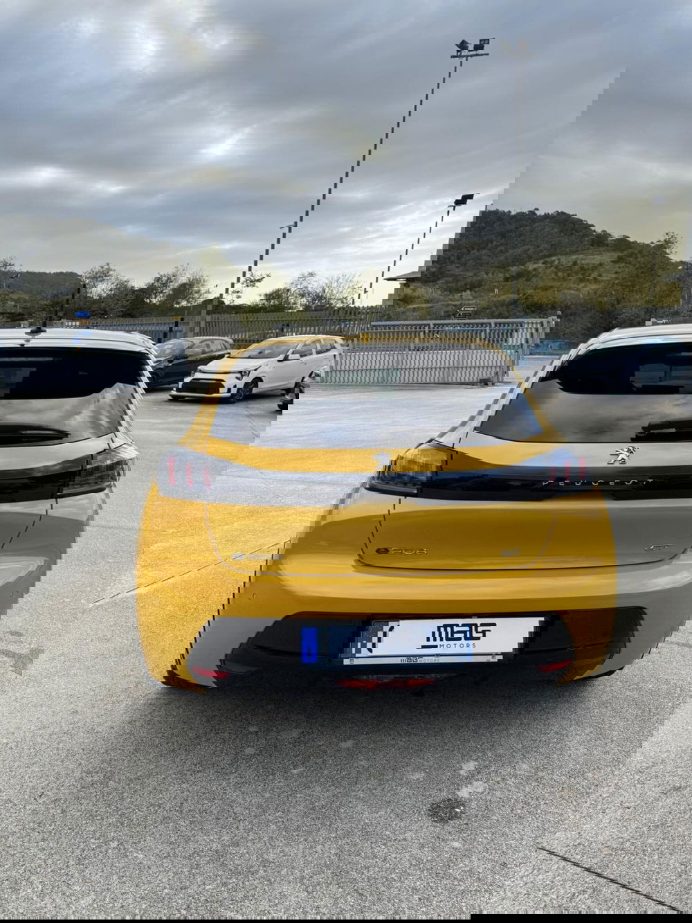 Peugeot 208 usata a Cosenza (6)