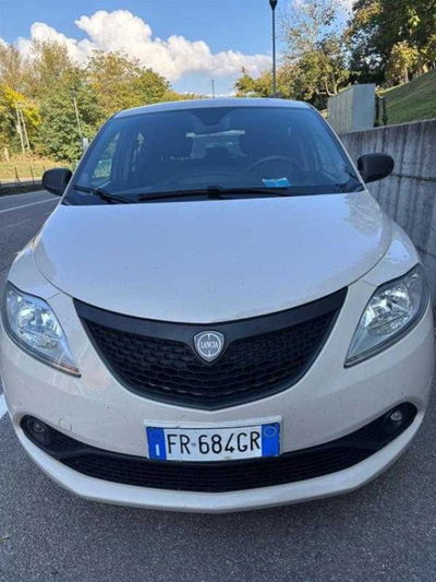 Lancia Ypsilon 1.2 69 CV 5 porte GPL Ecochic Elefantino del 2018 usata a Castenaso