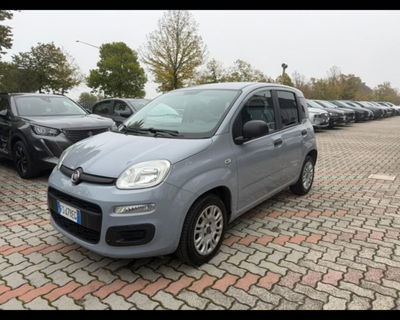Fiat Panda 1.2 Easy del 2018 usata a Castenaso