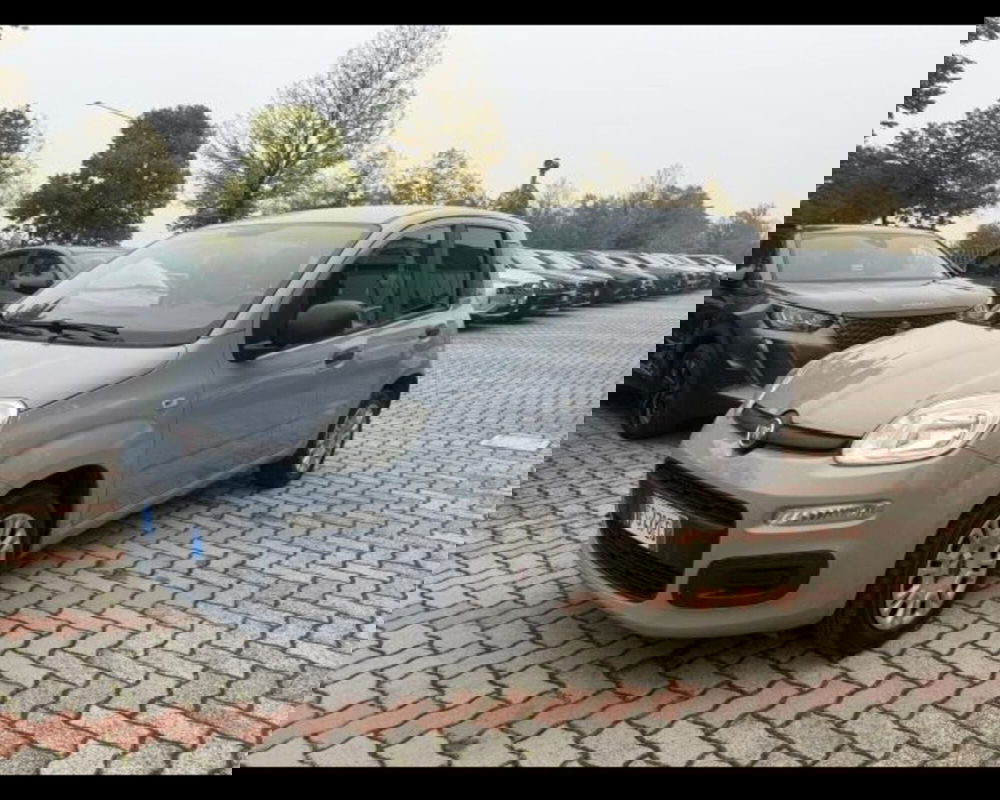 Fiat Panda usata a Bologna (3)