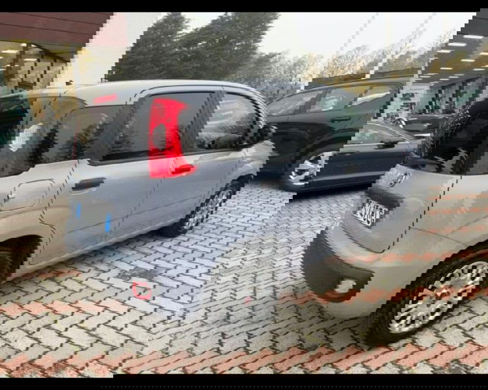 Fiat Panda usata a Bologna (4)