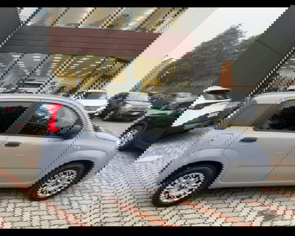 Fiat Panda usata a Bologna (5)
