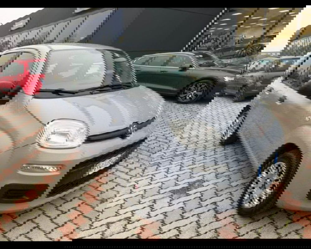 Fiat Panda usata a Bologna (6)