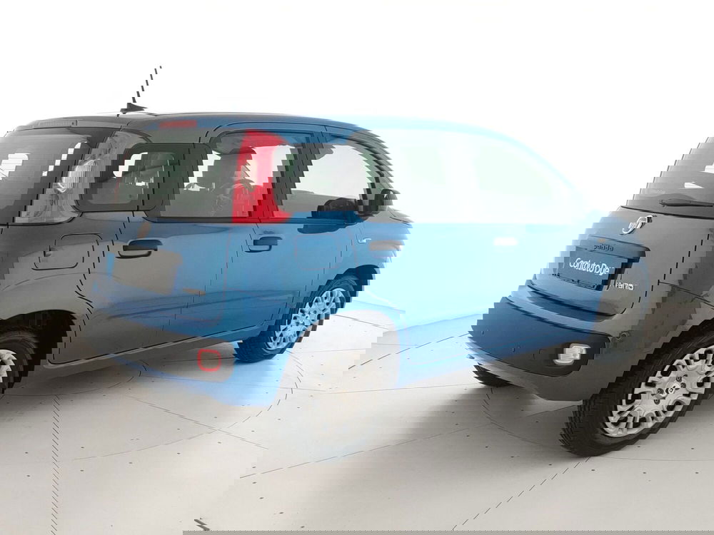 Fiat Panda Cross nuova a Caserta (5)