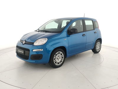 Fiat Panda Cross Cross 1.0 FireFly S&amp;S Hybrid nuova a Teverola