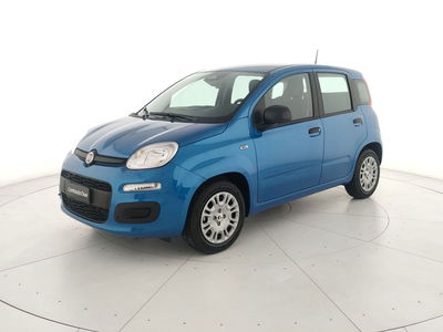Fiat Panda Cross Cross 1.0 FireFly S&amp;S Hybrid nuova a Teverola