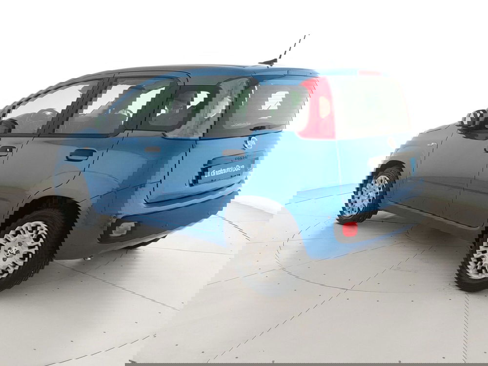 Fiat Panda Cross nuova a Caserta (7)