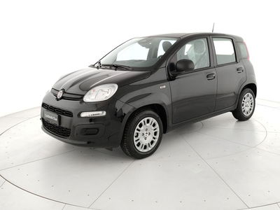 Fiat Panda Cross Cross 1.0 FireFly S&amp;S Hybrid nuova a Teverola