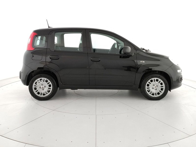 Fiat Panda Cross nuova a Caserta (4)