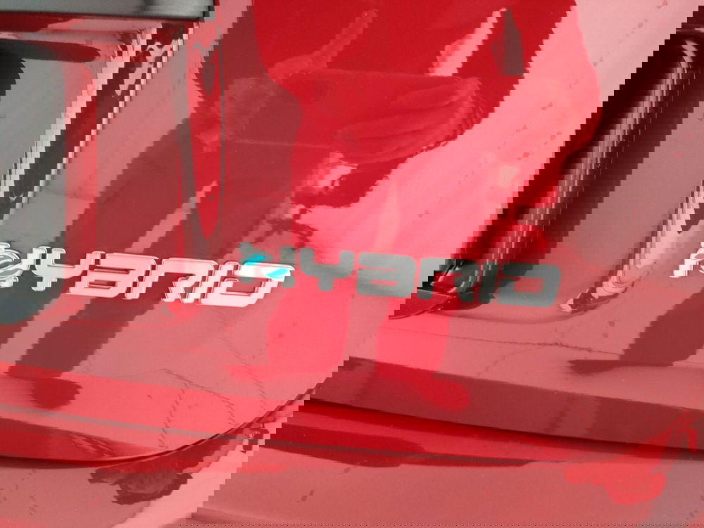 Fiat Panda Cross nuova a Caserta (11)