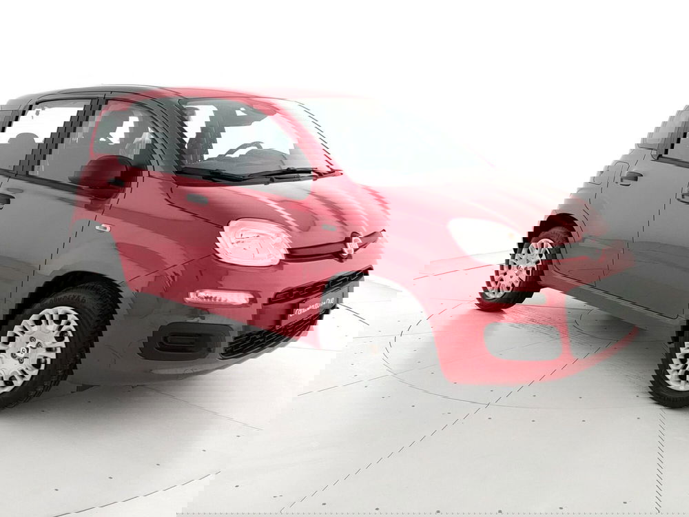 Fiat Panda Cross nuova a Caserta (3)