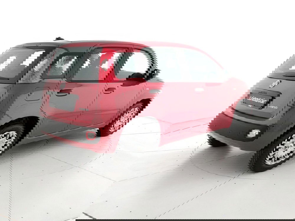 Fiat Panda Cross nuova a Caserta (5)