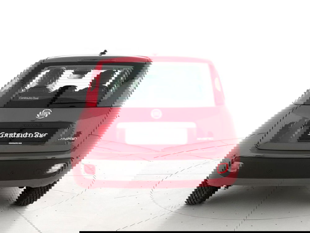 Fiat Panda Cross nuova a Caserta (6)