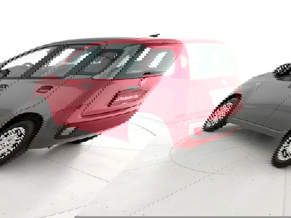 Fiat Panda Cross nuova a Caserta (7)