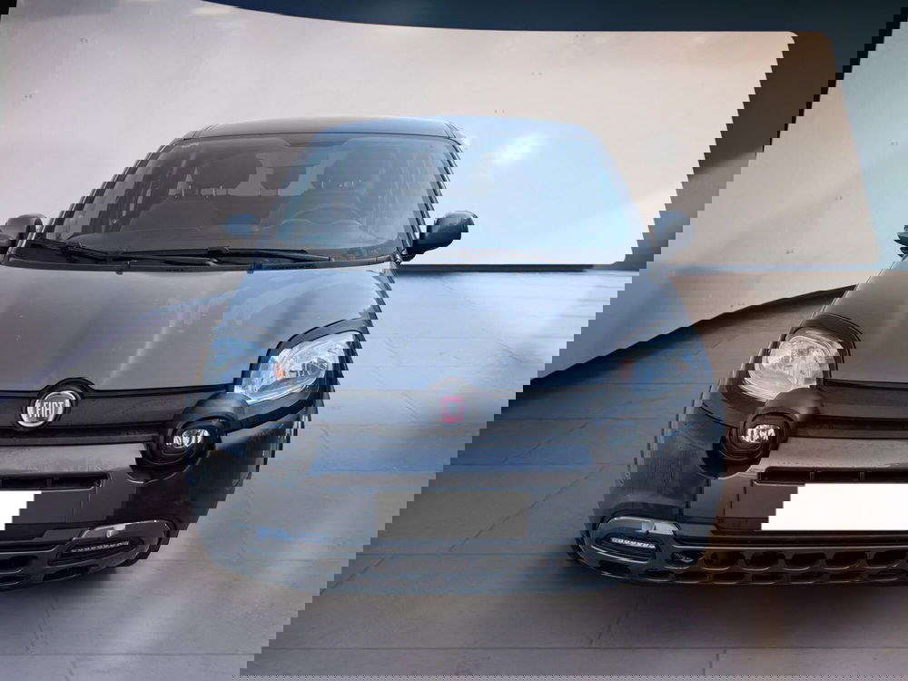 Fiat Panda Cross usata a Torino