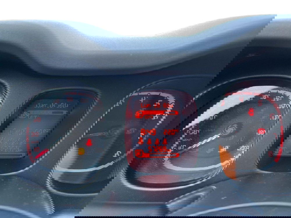 Fiat Panda Cross usata a Torino (13)