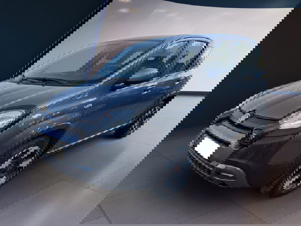 Fiat Panda Cross usata a Torino (2)