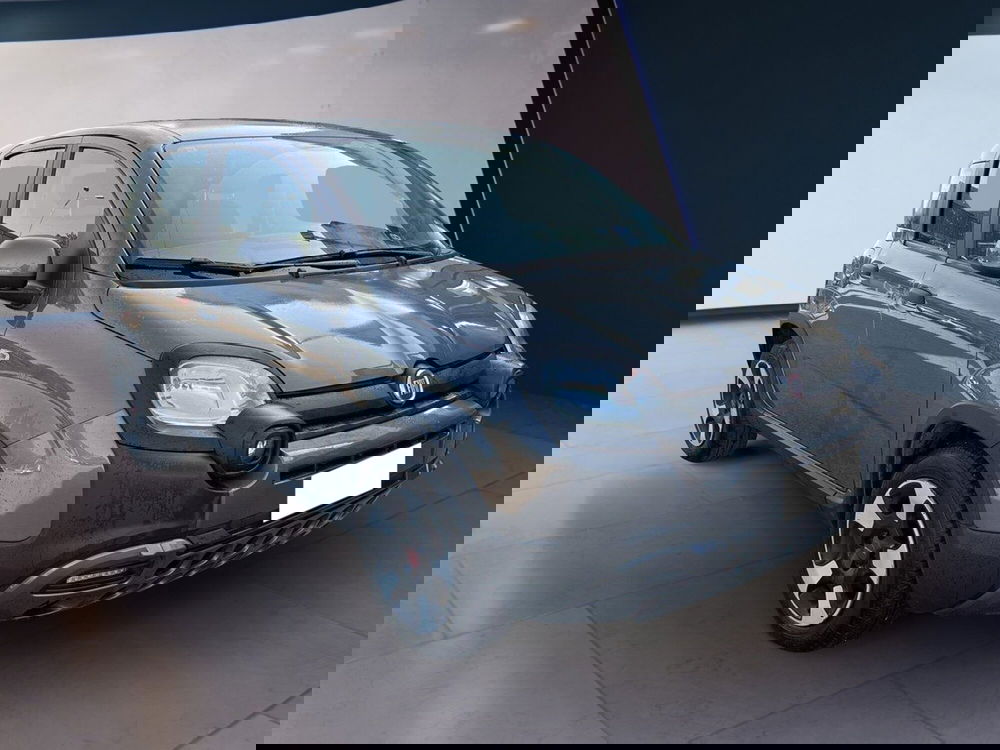 Fiat Panda Cross usata a Torino (3)