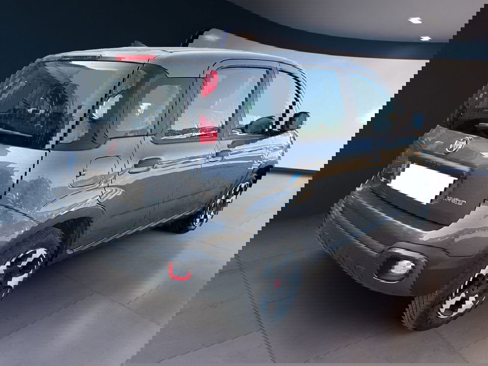 Fiat Panda Cross usata a Torino (4)