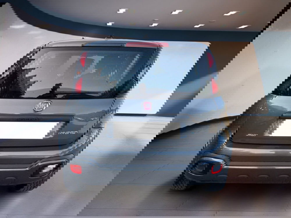 Fiat Panda Cross usata a Torino (6)