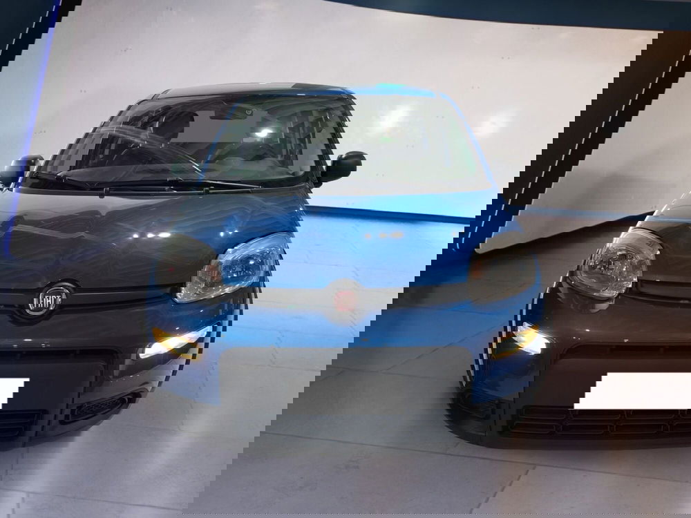 Fiat Panda usata a Torino