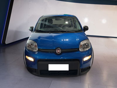 Fiat Panda 1.0 firefly hybrid s&amp;s 70cv 5p.ti del 2024 usata a Torino