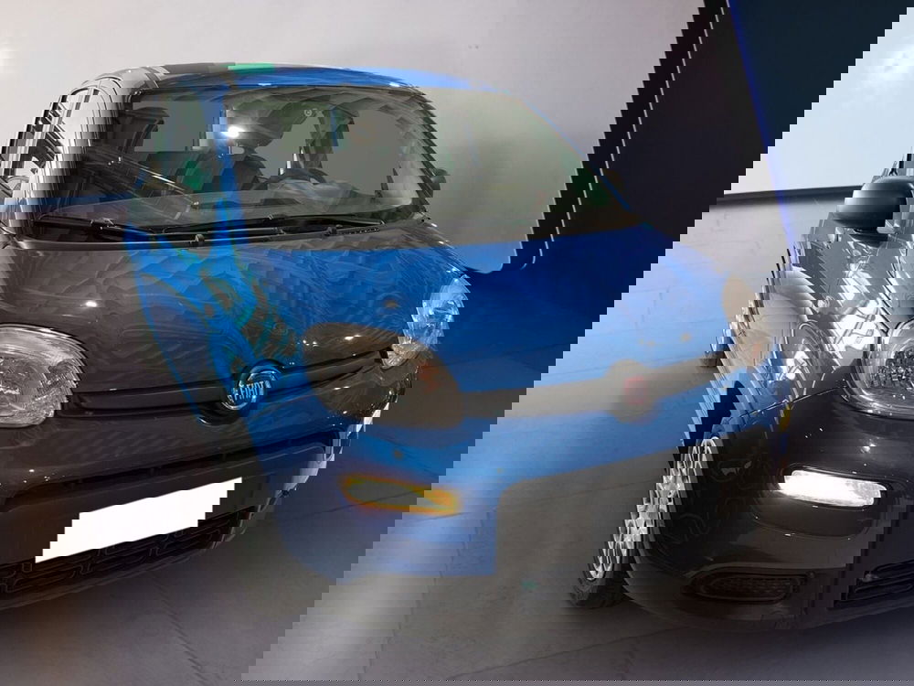 Fiat Panda usata a Torino (2)