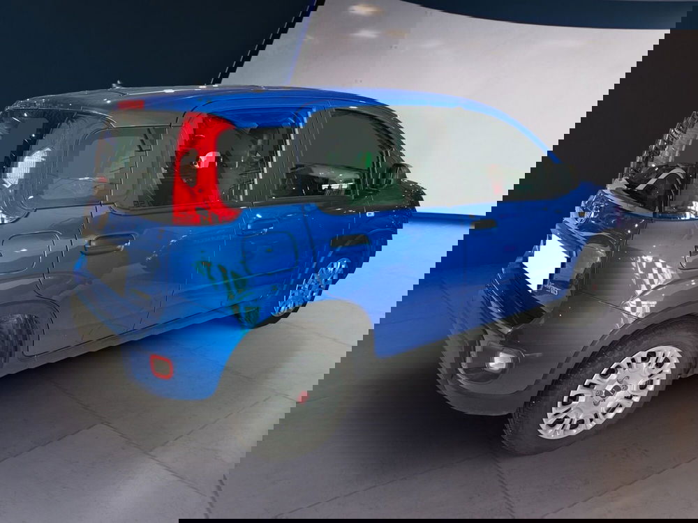 Fiat Panda usata a Torino (5)