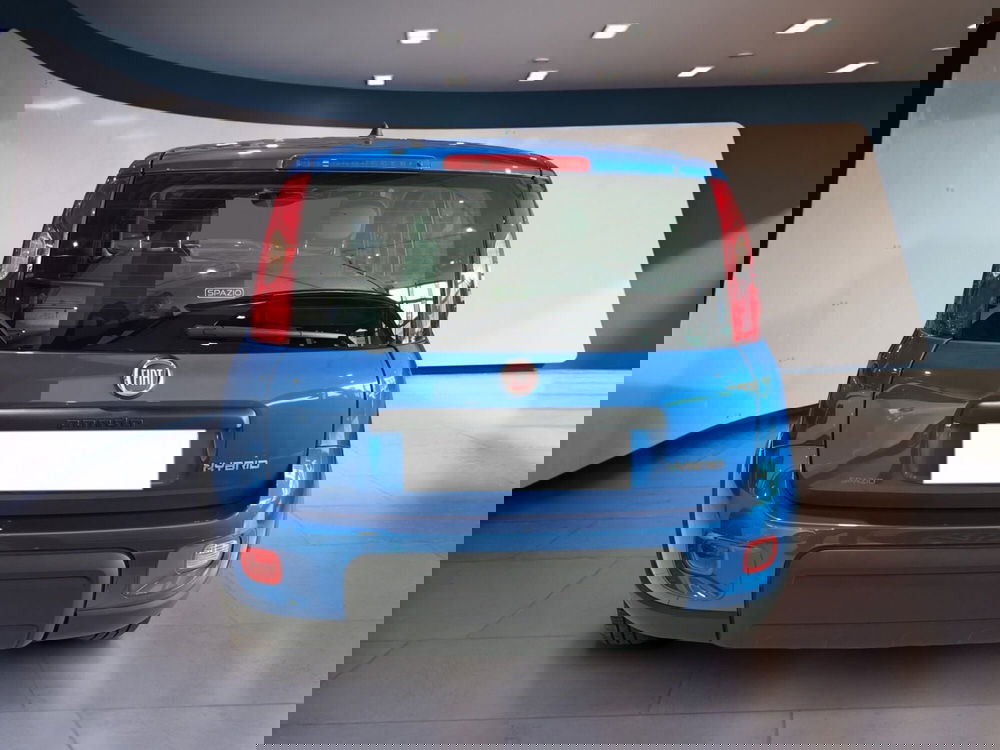 Fiat Panda usata a Torino (6)