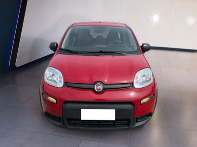 Fiat Panda 1.0 firefly hybrid s&amp;s 70cv 5p.ti del 2024 usata a Torino