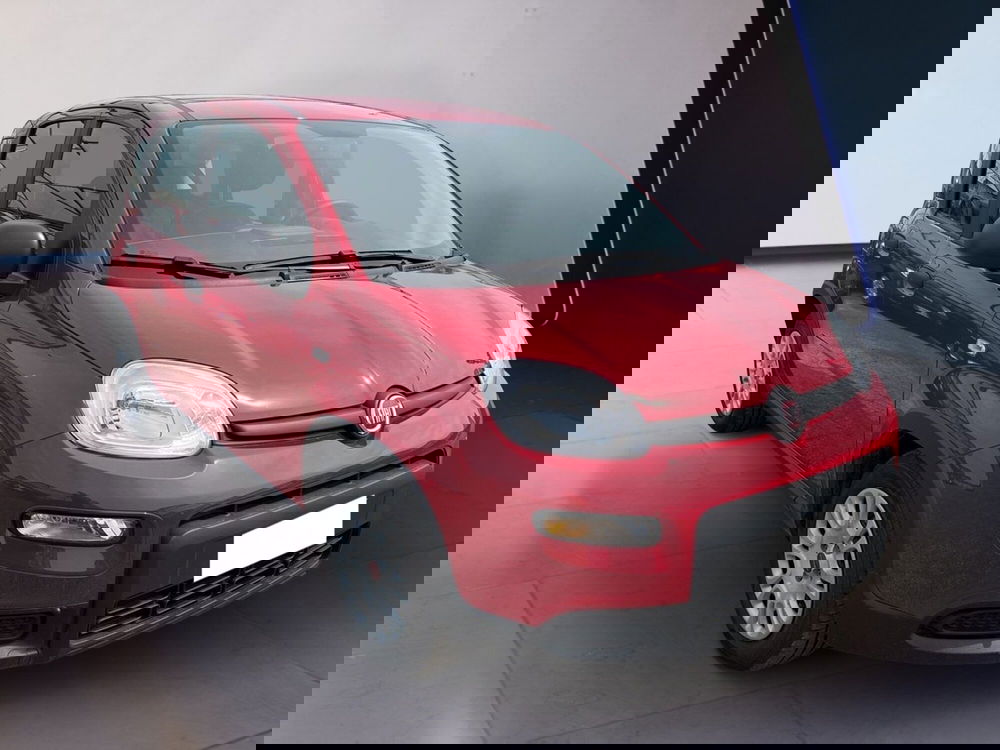 Fiat Panda usata a Torino (3)